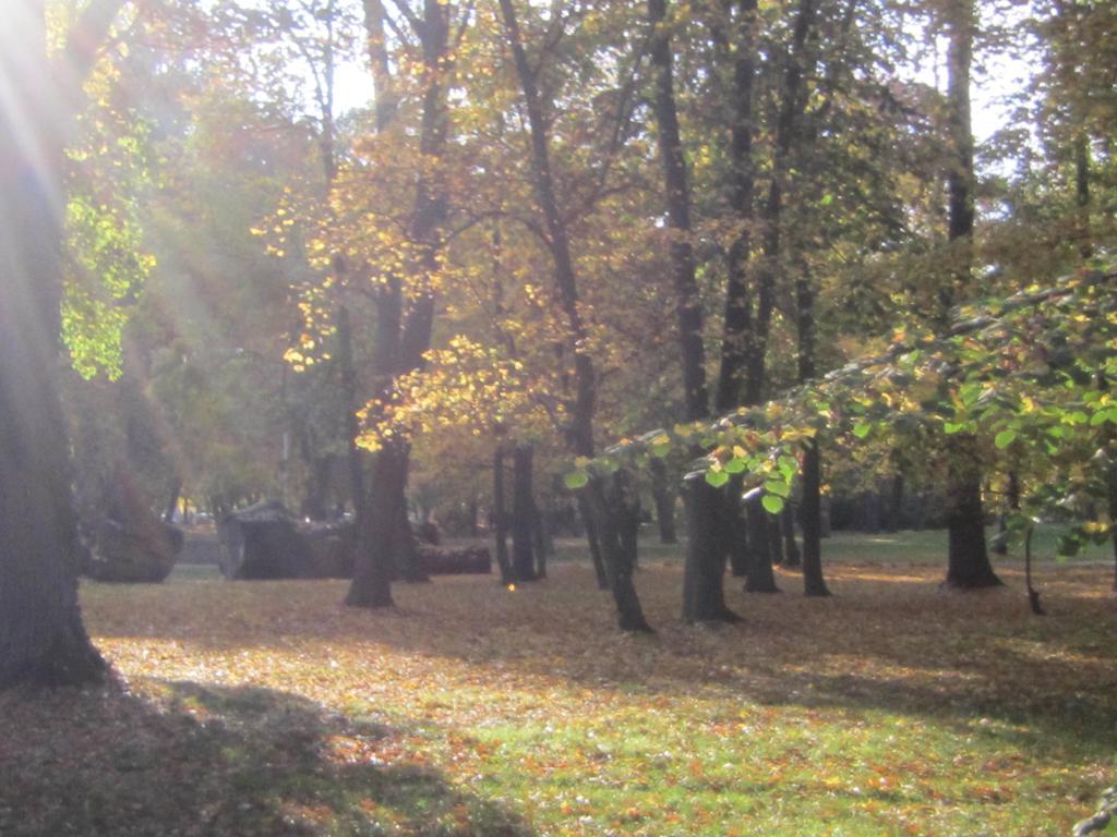 Csigahaz Panzio Hotel Gyula Kamer foto