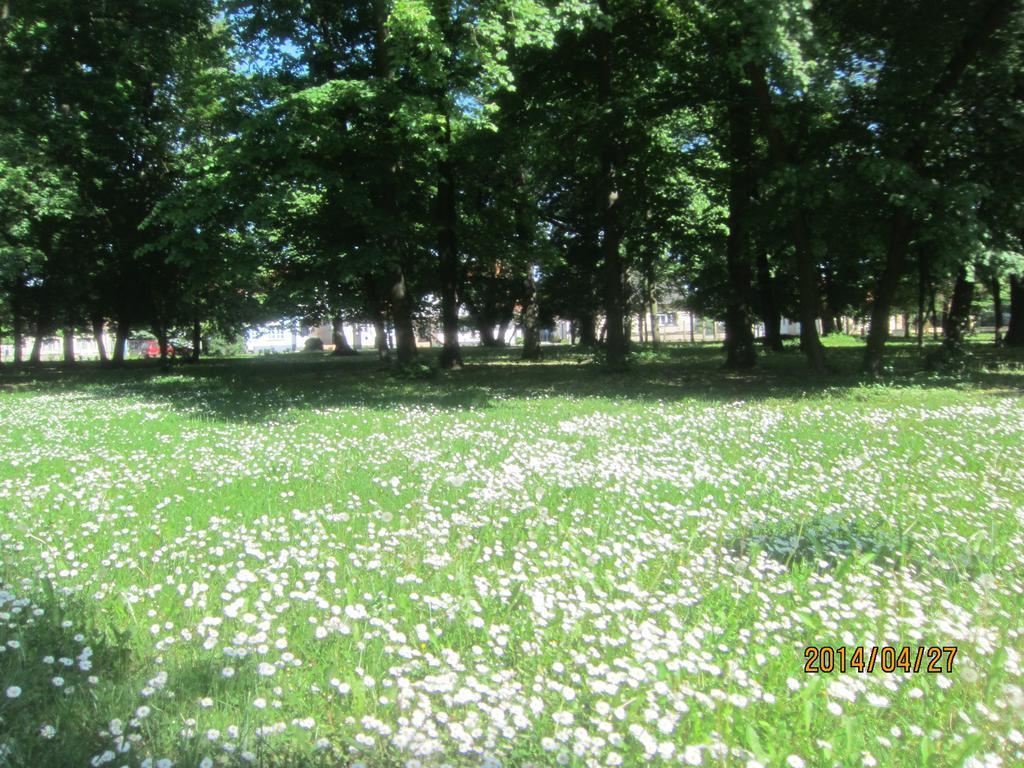 Csigahaz Panzio Hotel Gyula Kamer foto