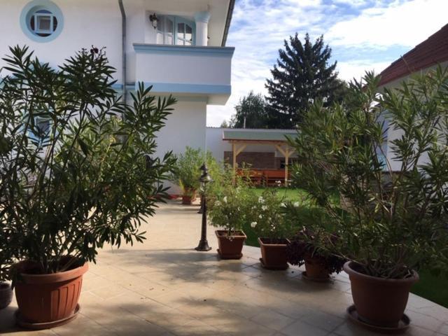 Csigahaz Panzio Hotel Gyula Buitenkant foto