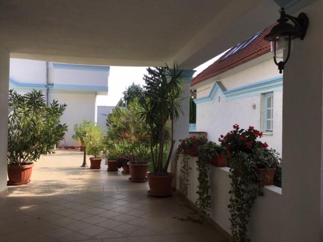 Csigahaz Panzio Hotel Gyula Buitenkant foto